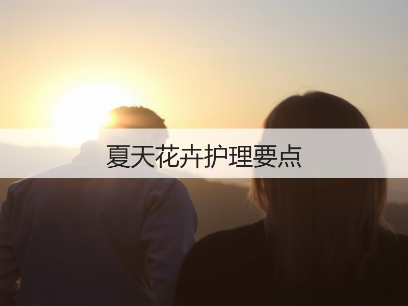 夏天花卉护理要点