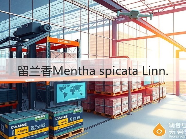 留兰香Mentha spicata Linn. 留兰香Mentha spicata Linn.