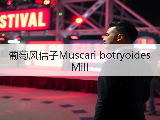 葡萄风信子Muscari botryoides Mill 葡萄风信子Muscari botryoides Mill