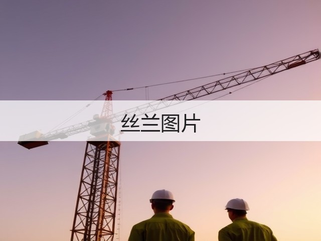 丝兰图片 丝兰图片