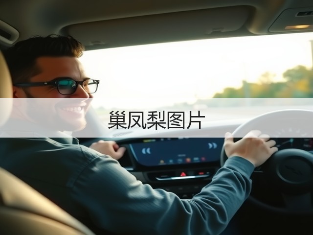 巢凤梨图片