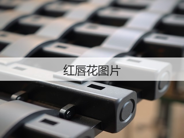 红唇花图片 红唇花图片