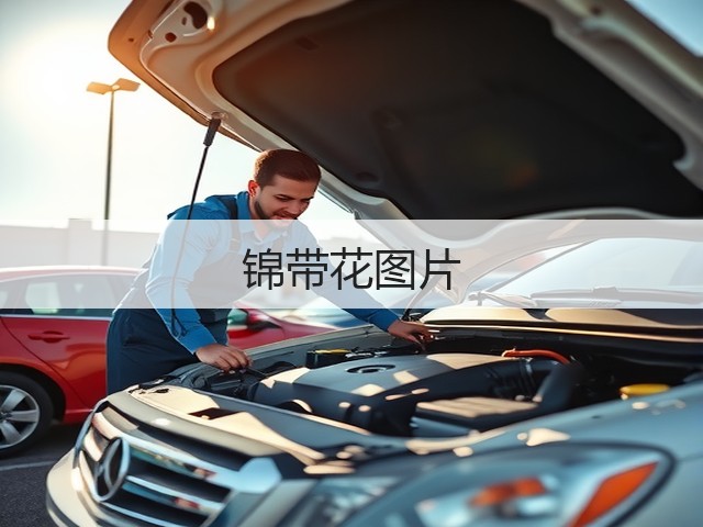 锦带花图片 锦带花图片