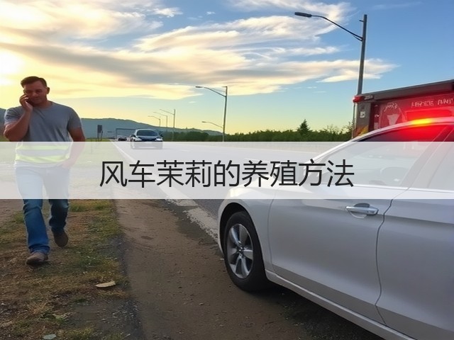 风车茉莉的养殖方法