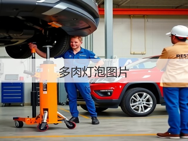 多肉灯泡图片 多肉灯泡图片