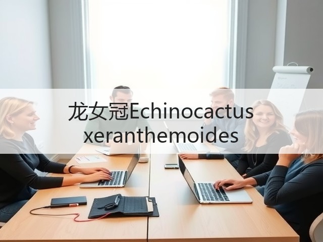 龙女冠Echinocactus xeranthemoides