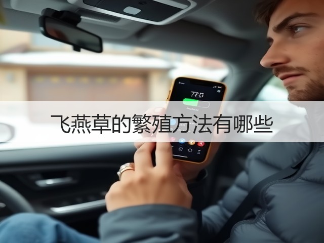 飞燕草的繁殖方法有哪些