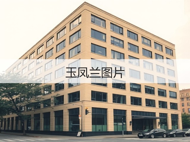 玉凤兰图片 玉凤兰图片