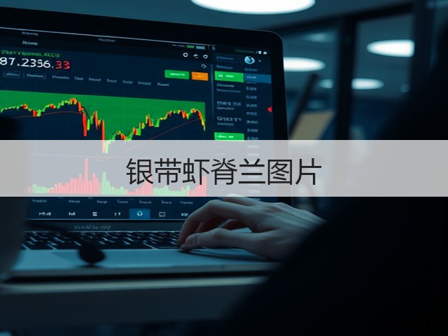 银带虾脊兰图片