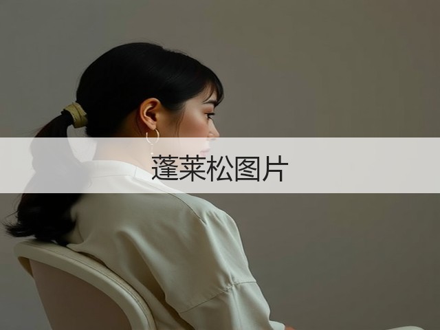 蓬莱松图片 蓬莱松图片