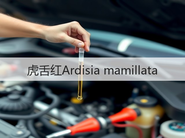 虎舌红Ardisia mamillata 虎舌红Ardisia mamillata