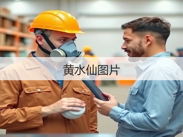 黄水仙图片 黄水仙图片
