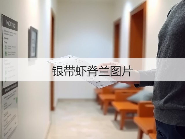 银带虾脊兰图片