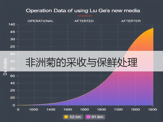 非洲菊的采收与保鲜处理 非洲菊的采收与保鲜处理