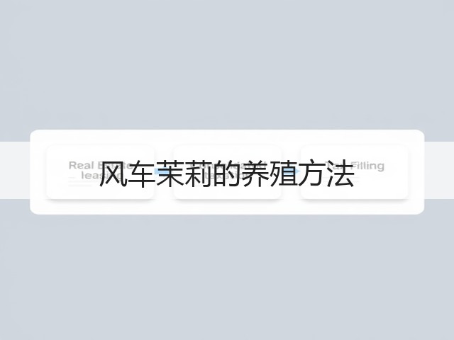 风车茉莉的养殖方法