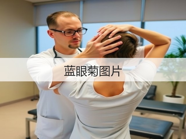 蓝眼菊图片