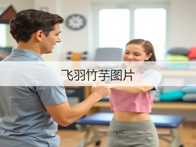 飞羽竹芋图片 飞羽竹芋图片