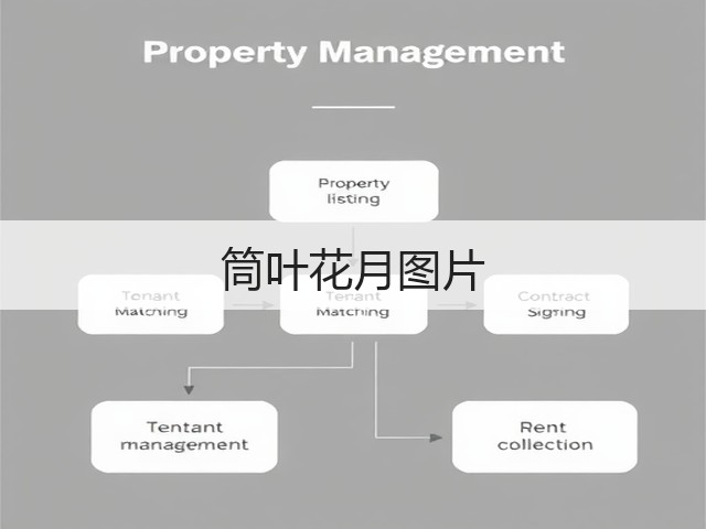 筒叶花月图片 筒叶花月图片