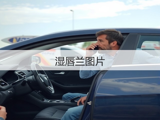 湿唇兰图片