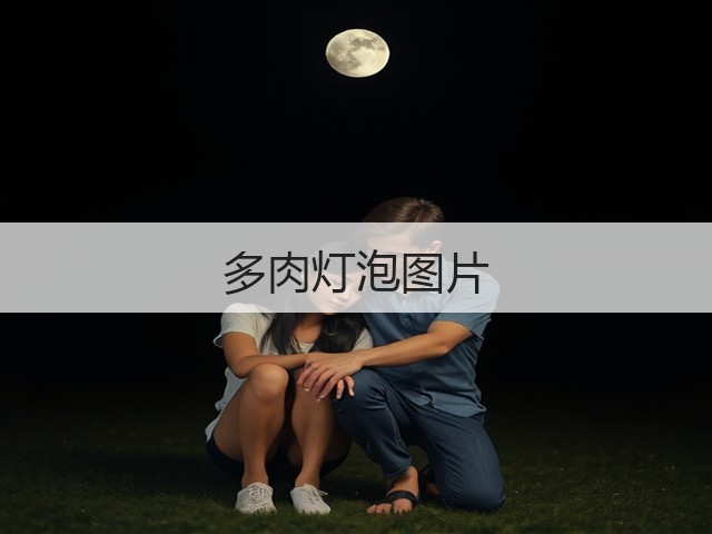 多肉灯泡图片 多肉灯泡图片
