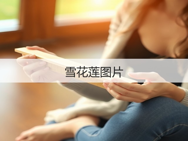 雪花莲图片 雪花莲图片