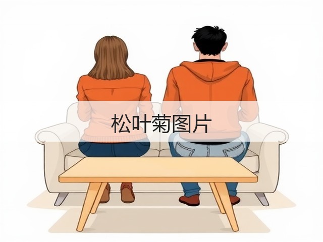 松叶菊图片 松叶菊图片