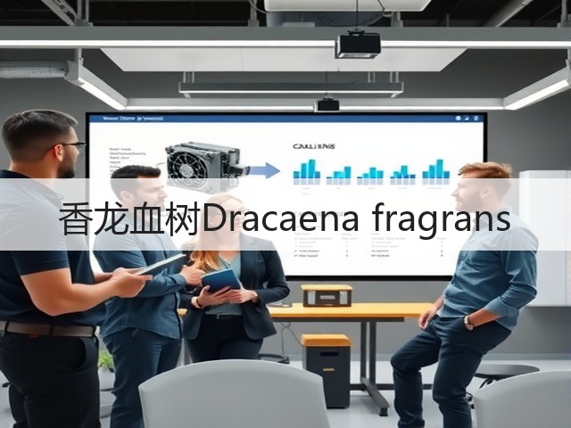 香龙血树Dracaena fragrans 香龙血树Dracaena fragrans