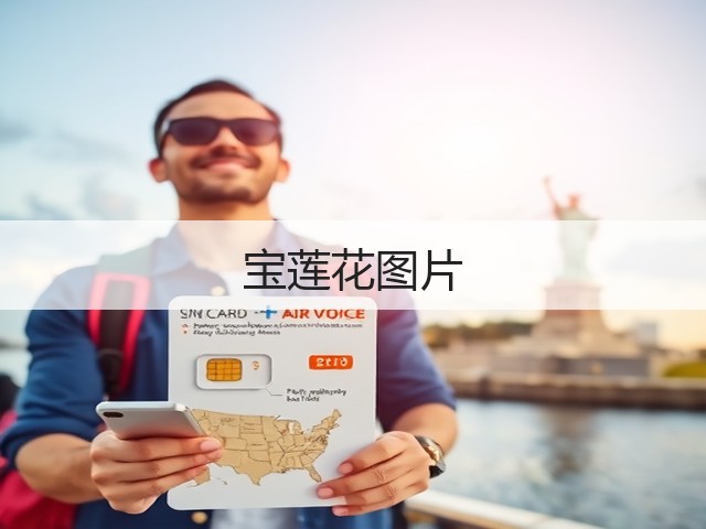 宝莲花图片 宝莲花图片