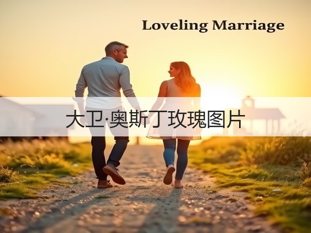 大卫·奥斯丁玫瑰图片 大卫·奥斯丁玫瑰图片