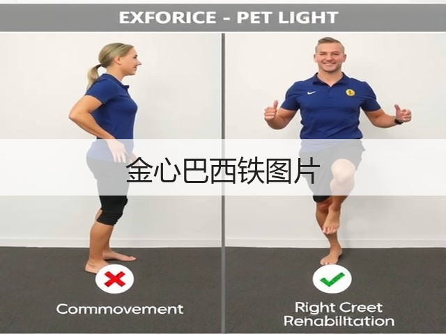 金心巴西铁图片 金心巴西铁图片