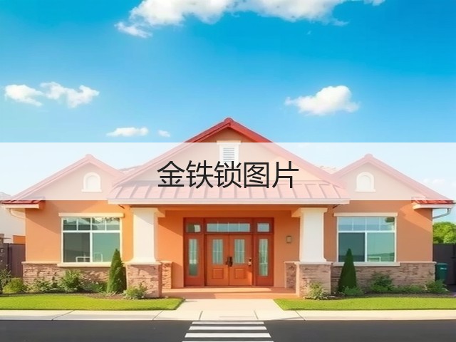 金铁锁图片 金铁锁图片