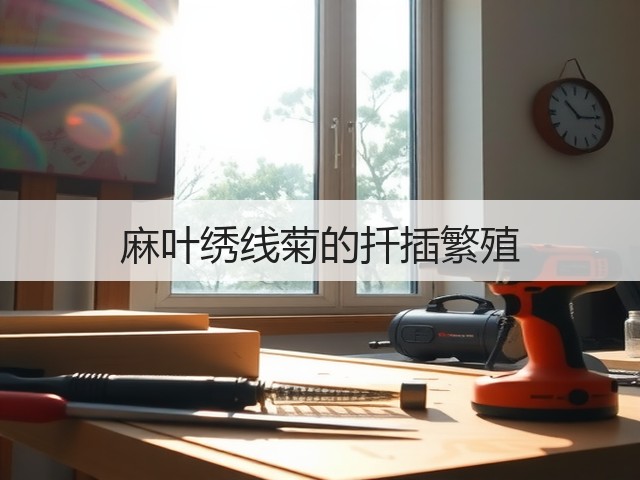 麻叶绣线菊的扦插繁殖