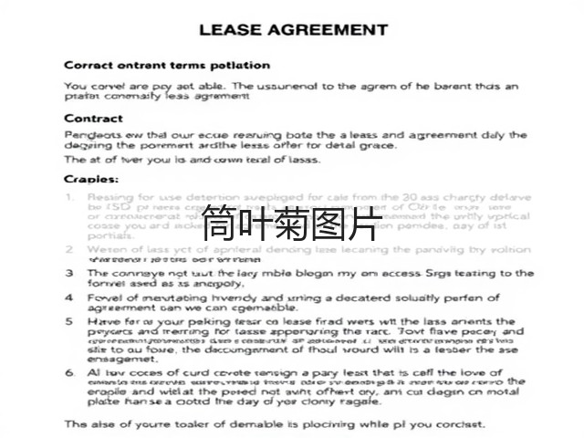 筒叶菊图片
