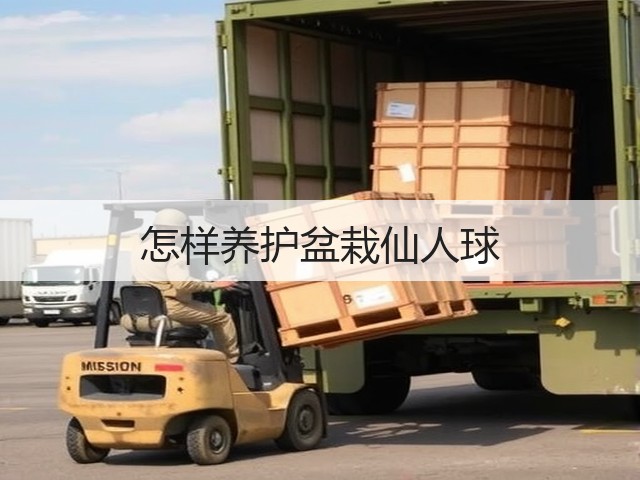怎样养护盆栽仙人球 怎样养护盆栽仙人球