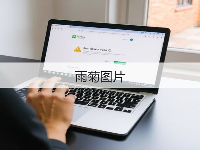 雨菊图片
