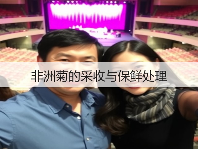 非洲菊的采收与保鲜处理 非洲菊的采收与保鲜处理