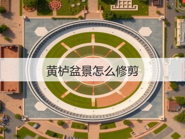 黄栌盆景怎么修剪