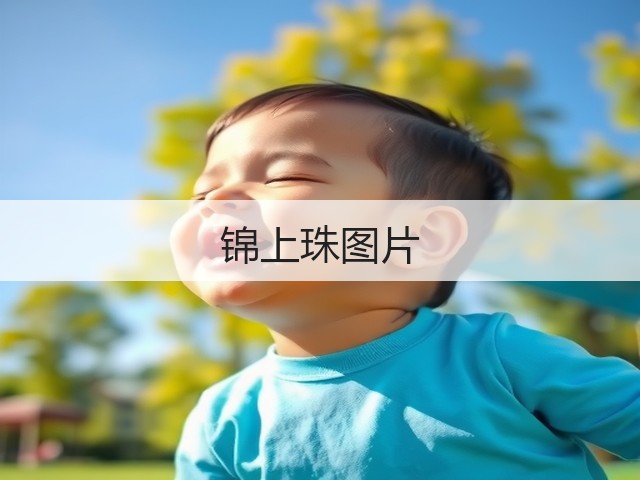 锦上珠图片
