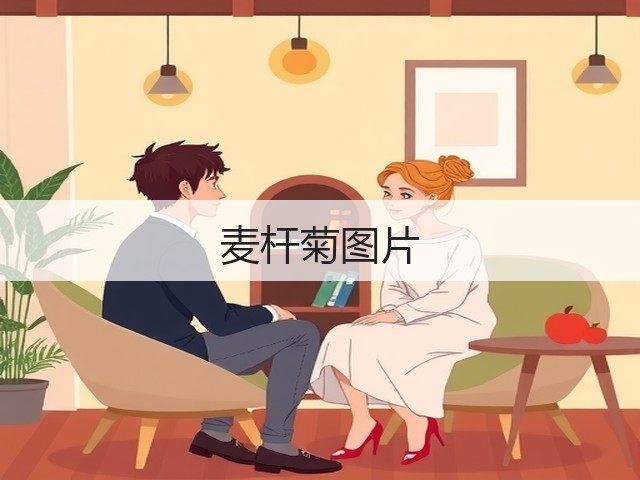 麦杆菊图片