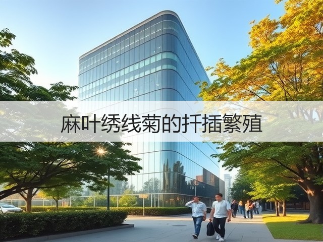 麻叶绣线菊的扦插繁殖