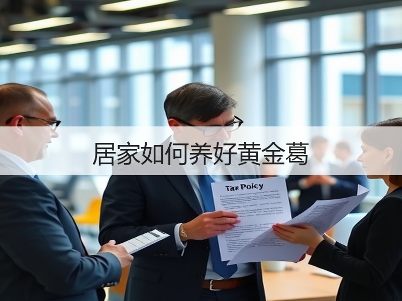 居家如何养好黄金葛