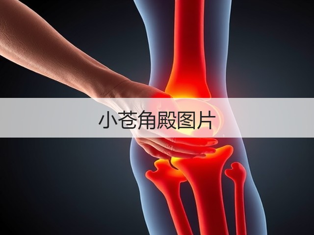 小苍角殿图片 小苍角殿图片