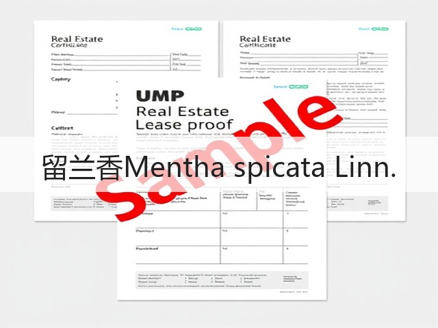 留兰香Mentha spicata Linn. 留兰香Mentha spicata Linn.