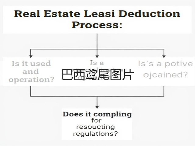 巴西鸢尾图片 巴西鸢尾图片