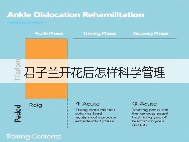 君子兰开花后怎样科学管理