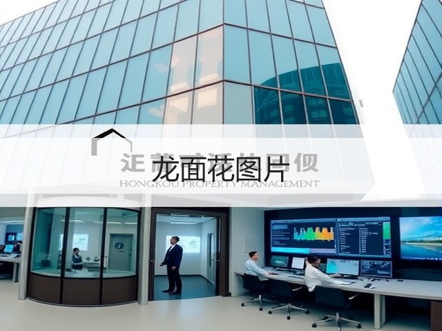 龙面花图片