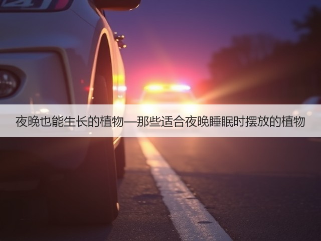 夜晚也能生长的植物—那些适合夜晚睡眠时摆放的植物