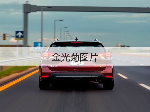 金光菊图片 金光菊图片