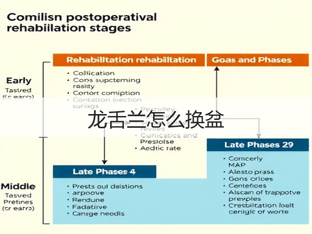 龙舌兰怎么换盆 龙舌兰怎么换盆