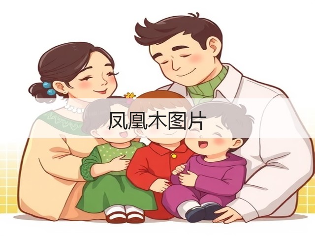 凤凰木图片 凤凰木图片